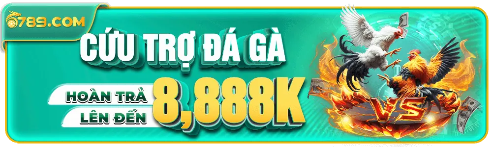 Hoàn trả đá gà lớn mỗi ngày tại 6789tv